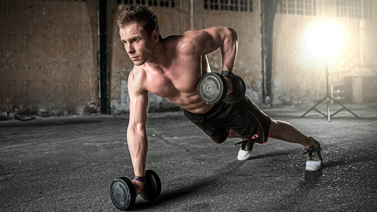 Elitebodytraininglab Fitness Club collection